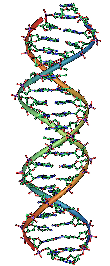 No creo en la formación que deforma